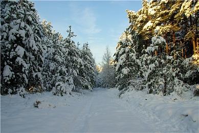 《消逝的光芒：困兽》趣味数据 被干掉的丧尸超22亿